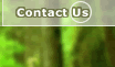 Contact Tree Testing