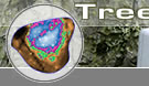 Tree Testing
